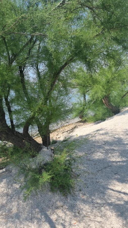 Luxa 5 Min Old Town, 10 Min Airport Διαμέρισμα Τρογκίρ Εξωτερικό φωτογραφία